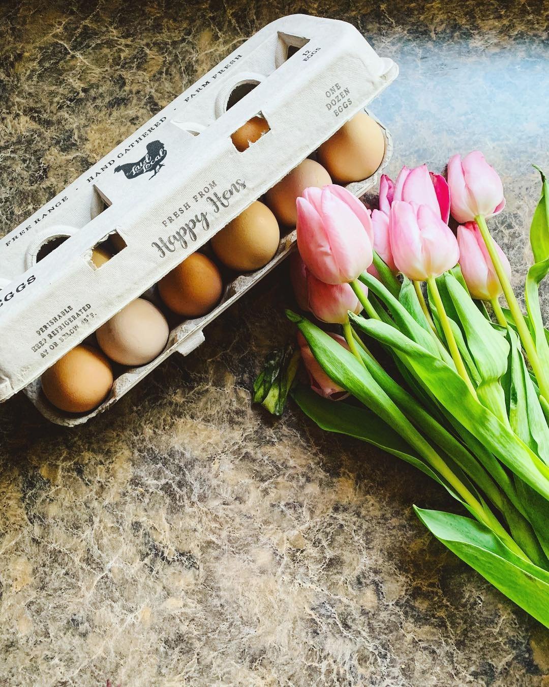 Henlay Laid Local Egg Cartons- Adorable Printed Vintage Design- 25, 90, or 250 - - Egg Cartons by My Pet Chicken