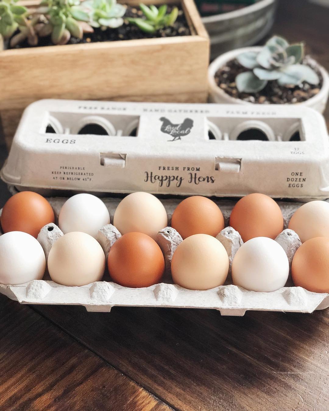 Henlay Laid Local Egg Cartons- Adorable Printed Vintage Design- 25, 90, or 250 - 250 - Egg Cartons by My Pet Chicken