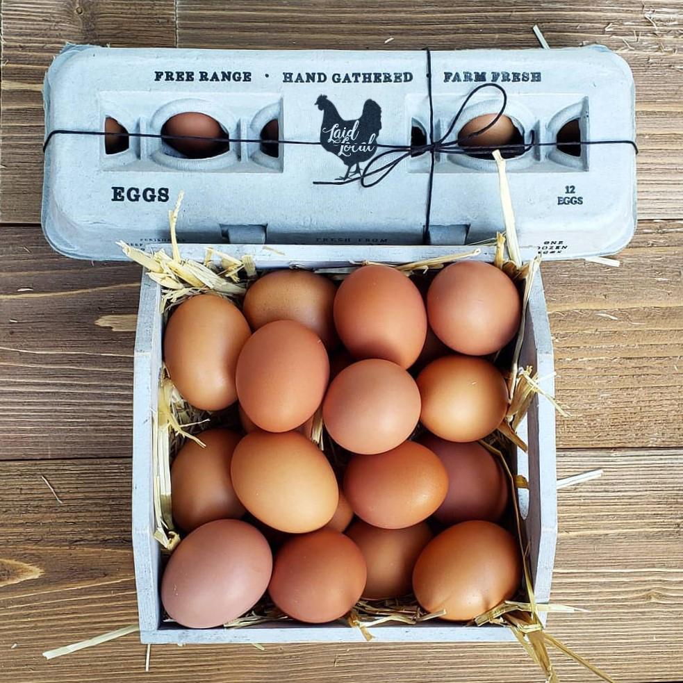 Henlay Laid Local Egg Cartons- Adorable Printed Vintage Design- 25, 90, or 250 - - Egg Cartons by My Pet Chicken