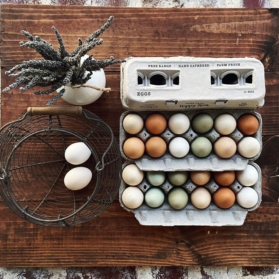 Henlay Blank Stamping Egg Cartons - 25, 90, or 250 - - Egg Cartons by My Pet Chicken