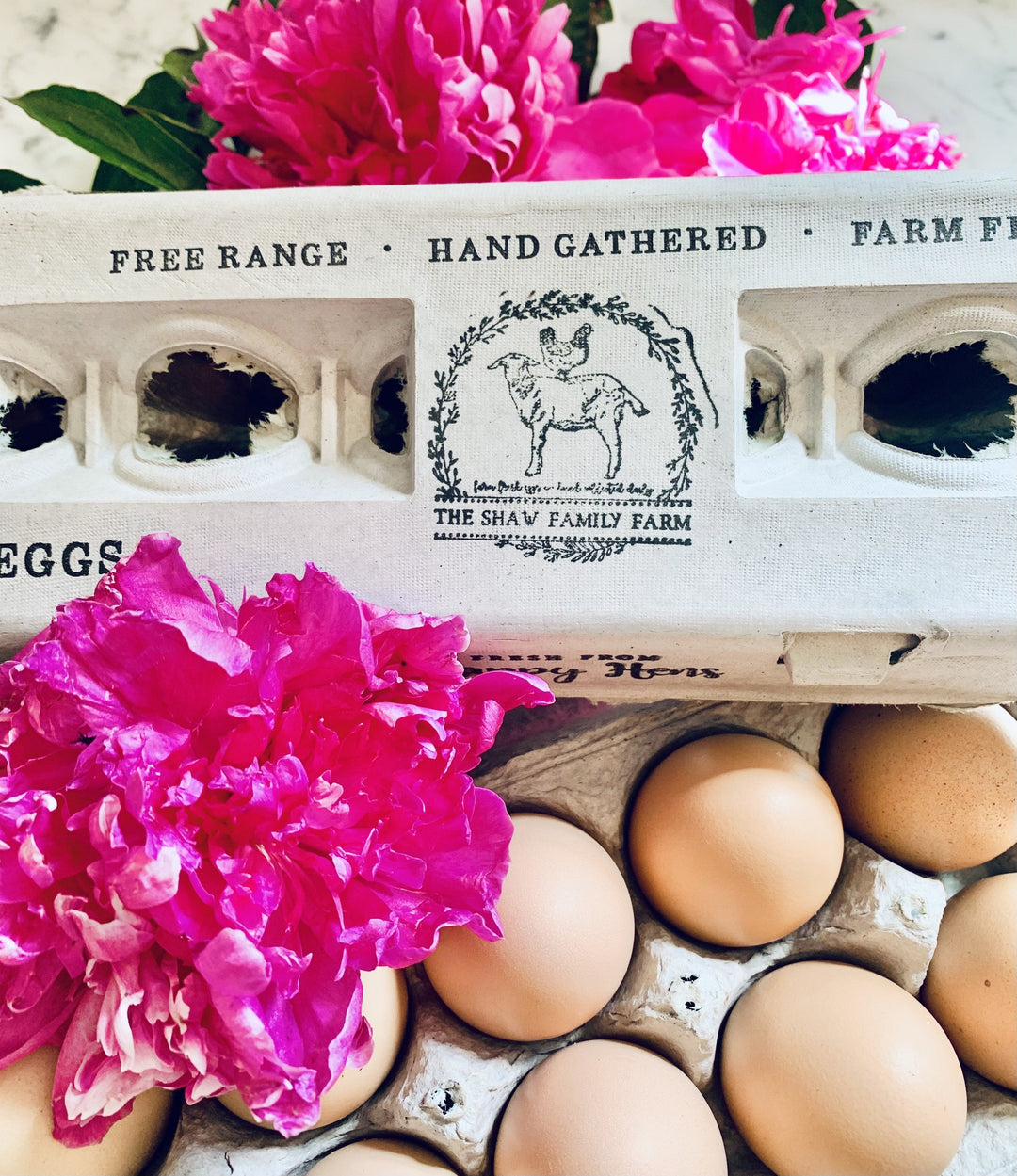 Henlay Blank Stamping Egg Cartons - 25, 90, or 250 - - Egg Cartons by My Pet Chicken