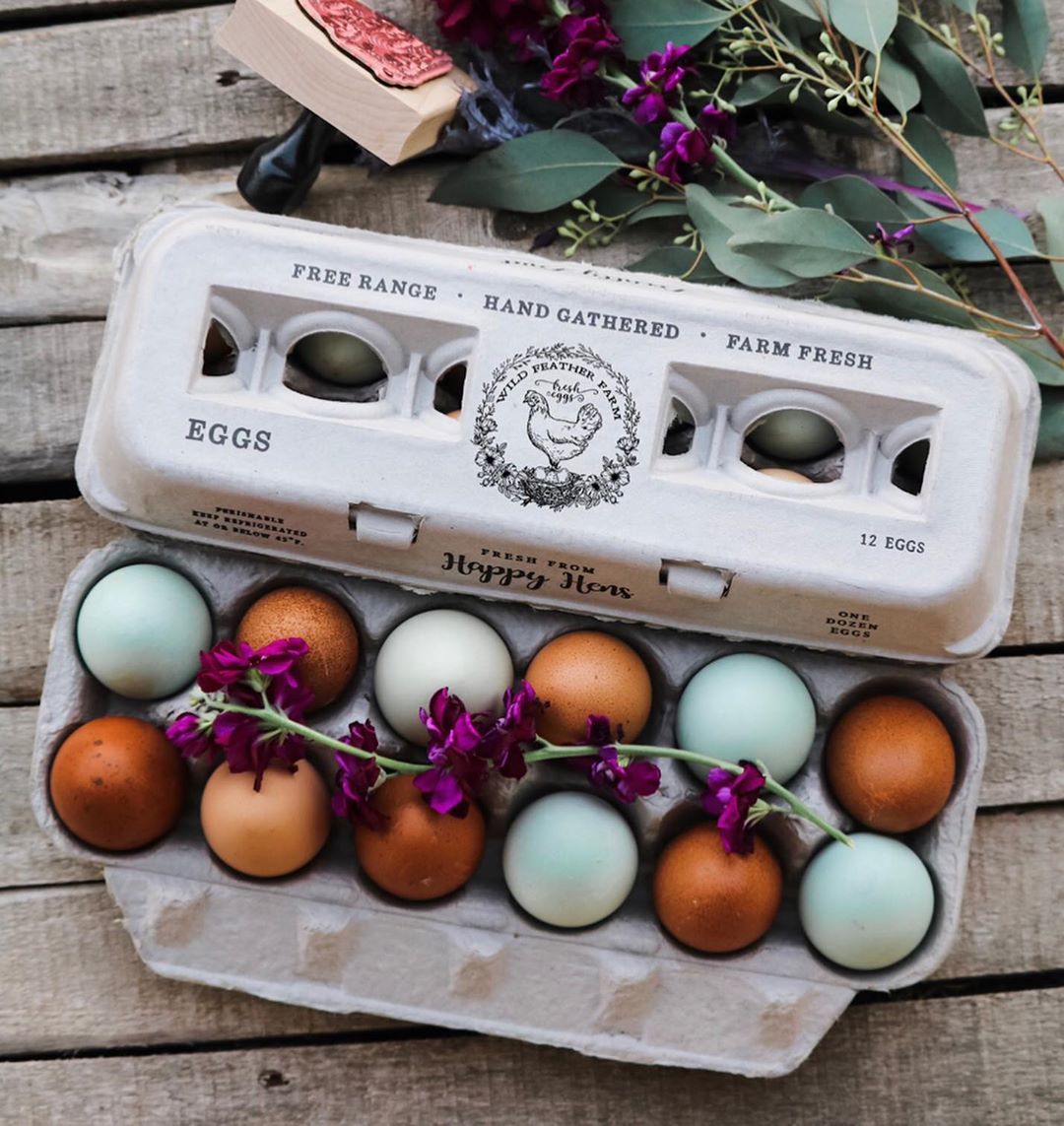 Henlay Blank Stamping Egg Cartons - 25, 90, or 250 - - Egg Cartons by My Pet Chicken