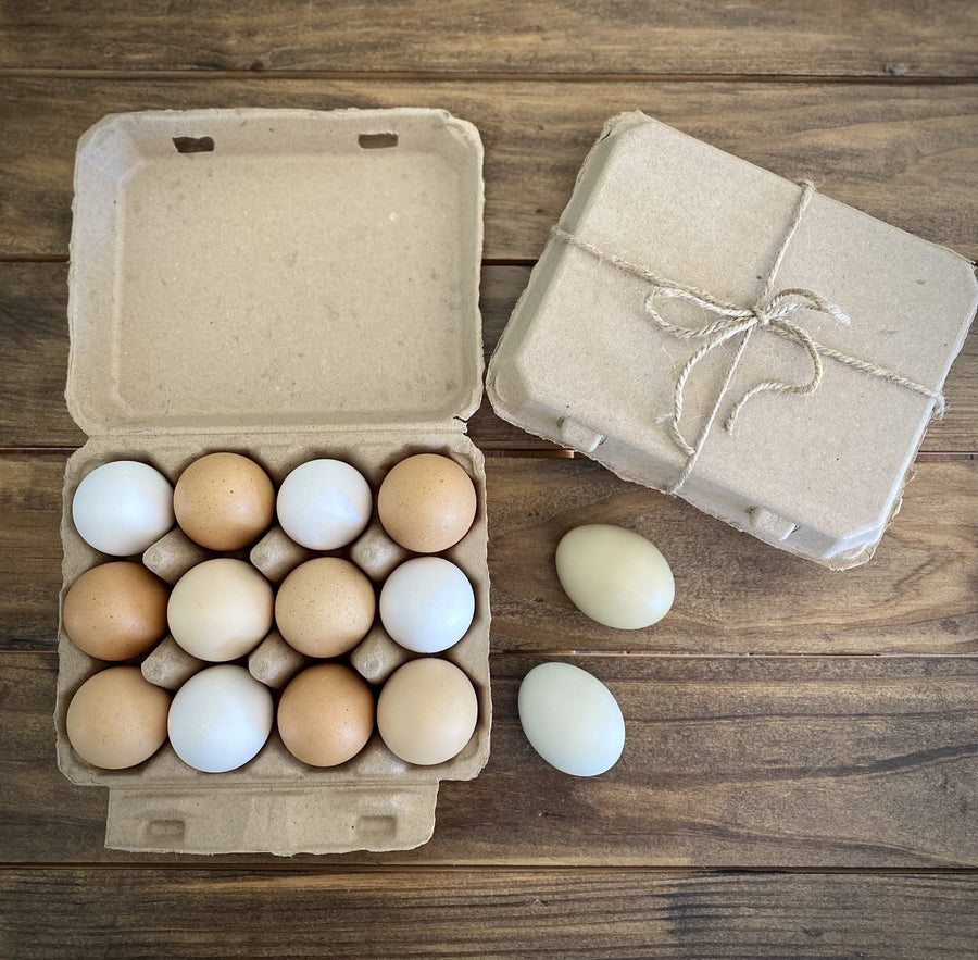 Henlay Vintage Blank Egg Cartons, Classic 3x4 Design, 2 Colors, 25, 65, 75, or 200 Pack - Tan Egg Cartons 25 Cartons - Egg Cartons by My Pet Chicken