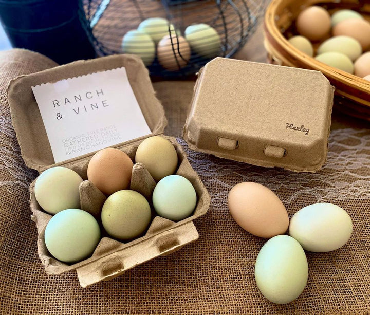 Half Dozen Egg Cartons - Henlay Blank Flat Top, Six Pack, 2 colors, 20 or 100 - - Egg Cartons by My Pet Chicken