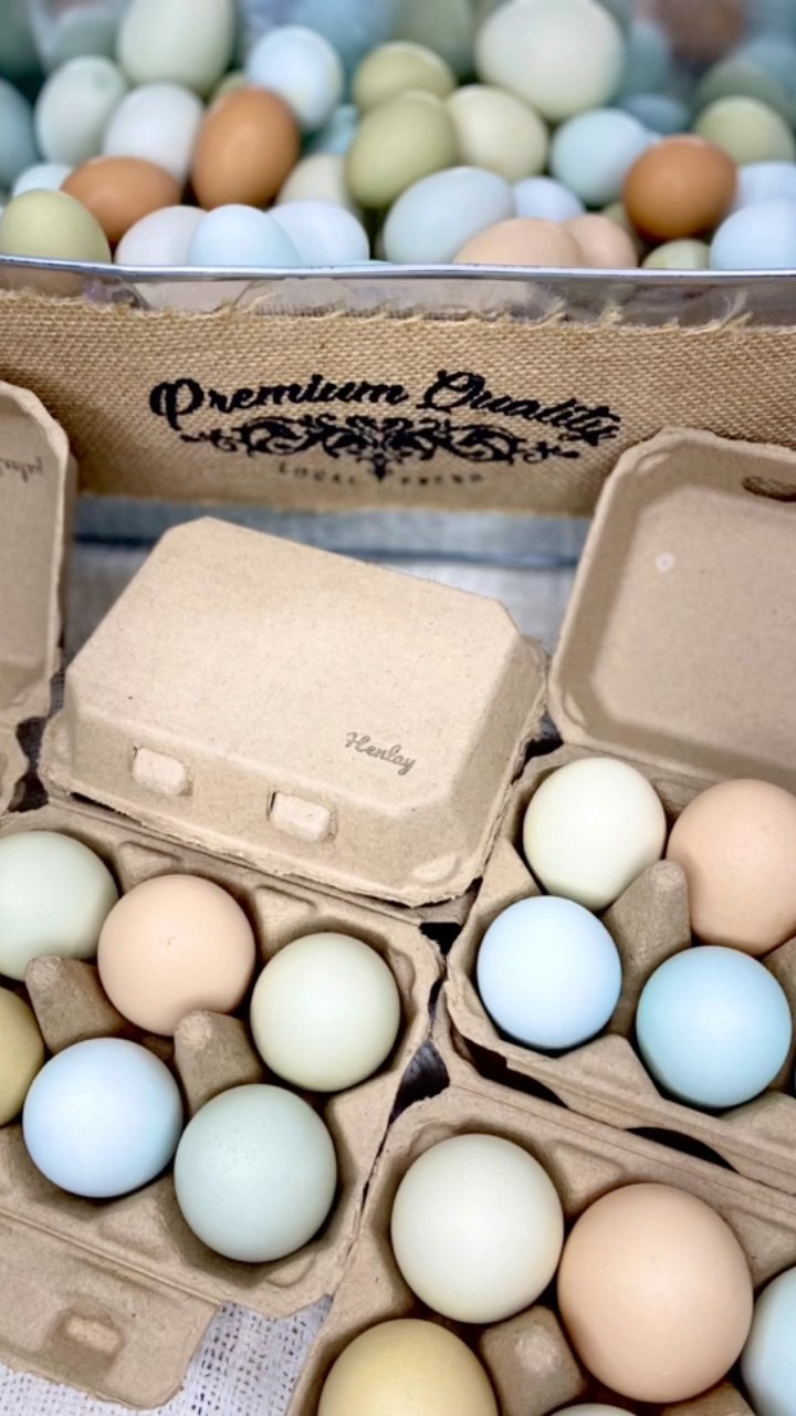 Half Dozen Egg Cartons - Henlay Blank Flat Top, Six Pack, 2 colors, 20 or 100 - - Egg Cartons by My Pet Chicken