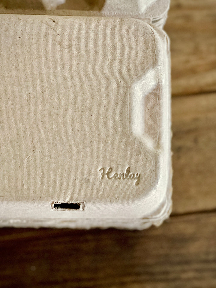 Henlay Duck Egg Cartons - Holds Half Dozen Jumbo Eggs- Blank Flat Top, 2 colors, 20 or 100 - - Egg Cartons by My Pet Chicken