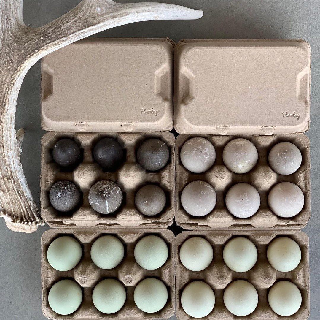 Henlay Duck Egg Cartons - Holds Half Dozen Jumbo Eggs- Blank Flat Top, 2 colors, 20 or 100 - - Egg Cartons by My Pet Chicken