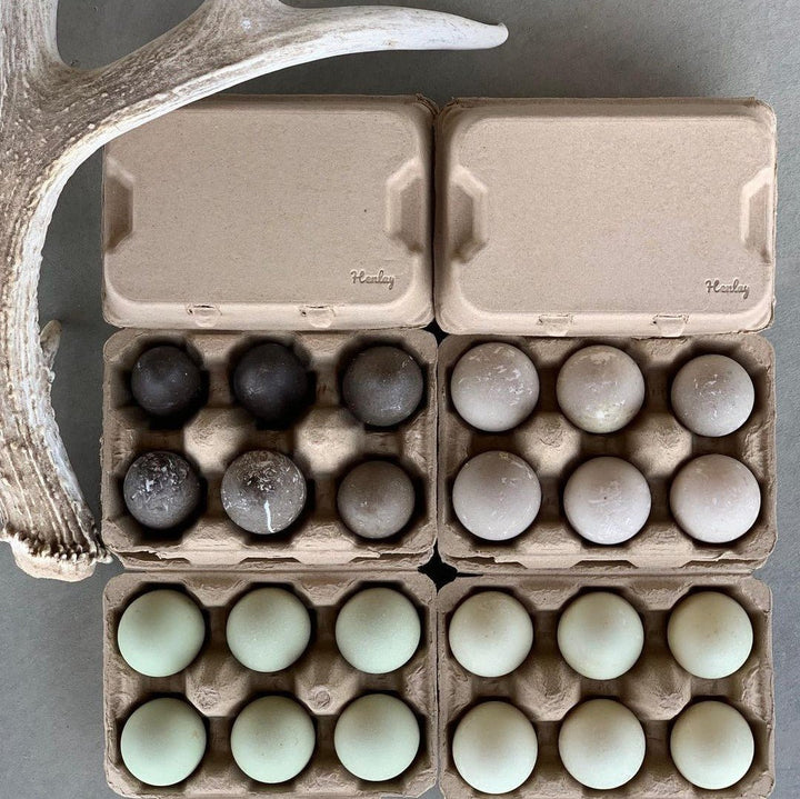 Henlay Duck Egg Cartons - Holds Half Dozen Jumbo Eggs- Blank Flat Top, 2 colors, 20 or 100 - - Egg Cartons by My Pet Chicken