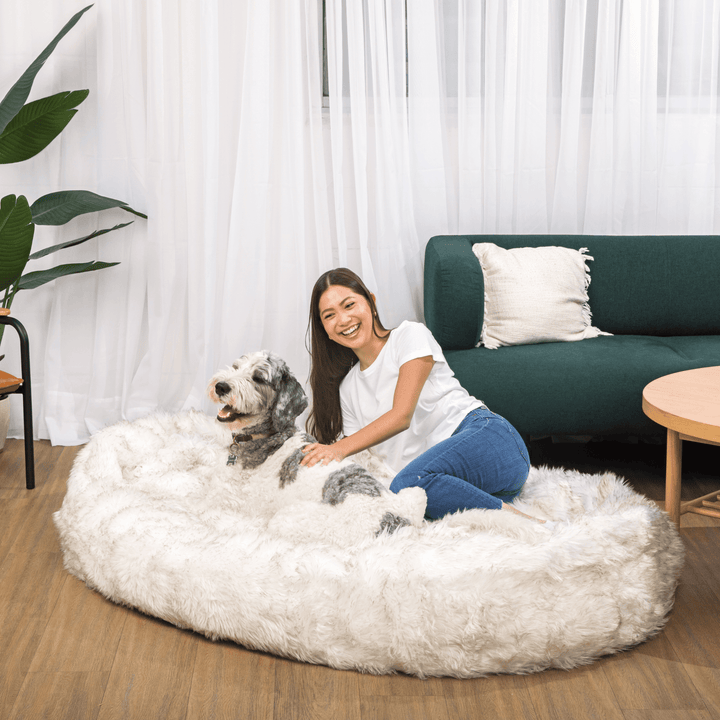 PupCloud™ Human-Size Faux Fur Memory Foam Dog Bed - White with Brown Accents - - by Paw.com