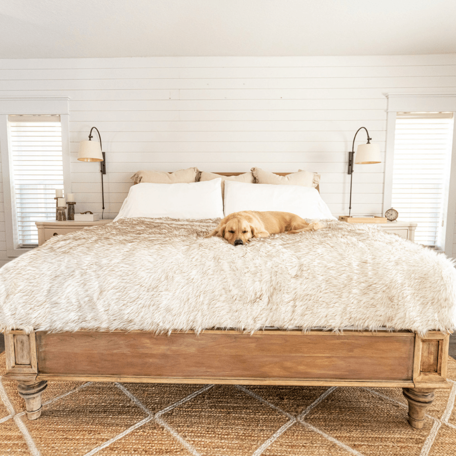 PupProtector™ Waterproof Throw Blanket - White with Brown Accents - - Dog Blanket by Paw.com