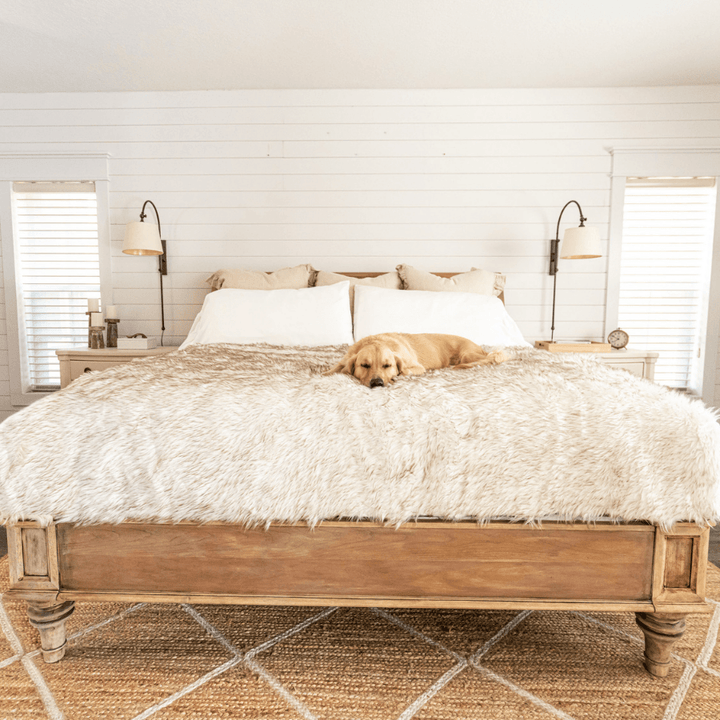 PupProtector™ Waterproof Throw Blanket - White with Brown Accents - - Dog Blanket by Paw.com