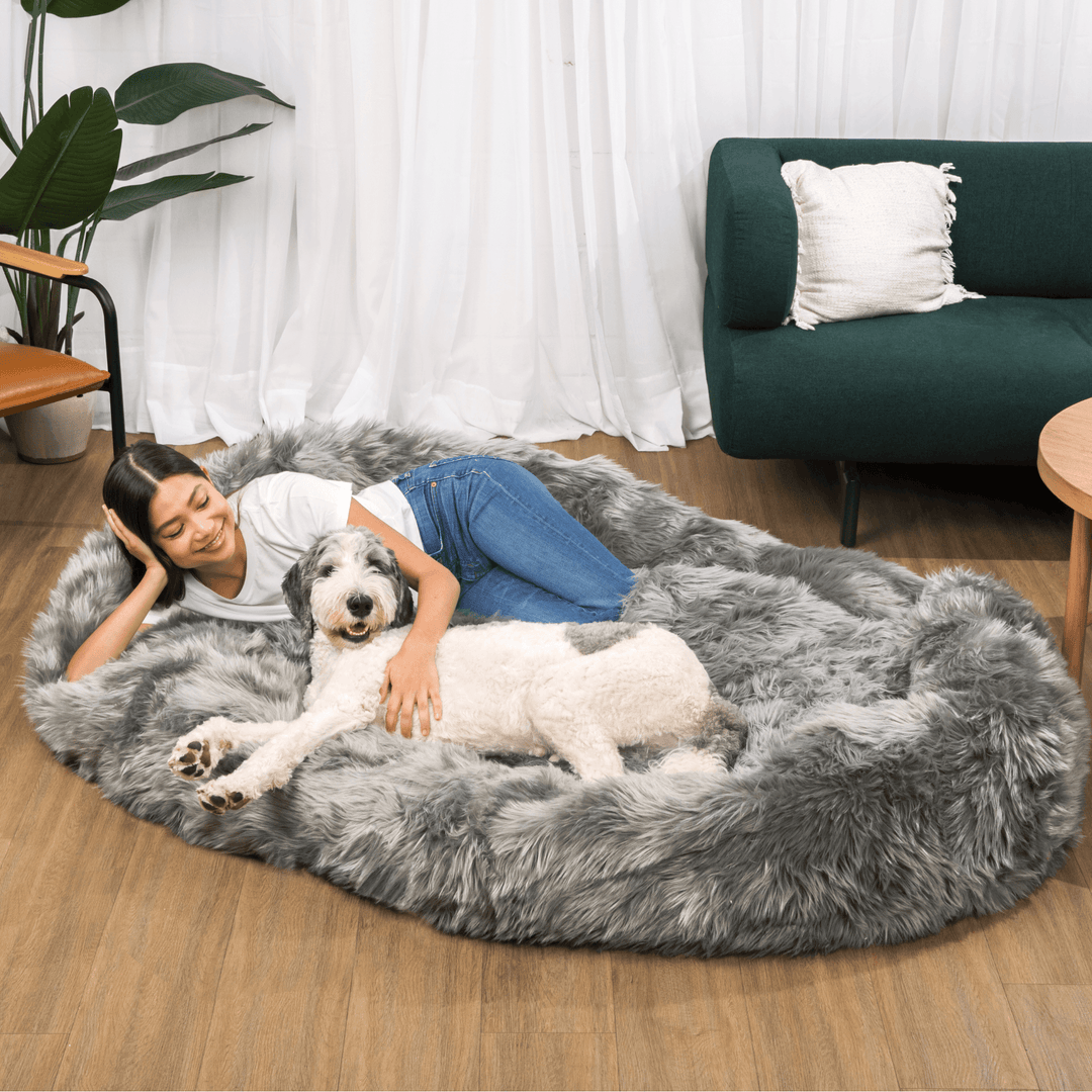 PupCloud™ Human-Size Faux Fur Memory Foam Dog Bed - Charcoal Grey - - by Paw.com