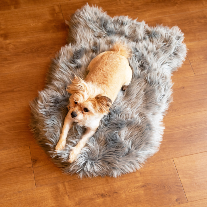 PupRug by Paw.com® Faux Fur Orthopedic Dog Bed - Curve Charcoal Grey - - Dog Beds by Paw.com
