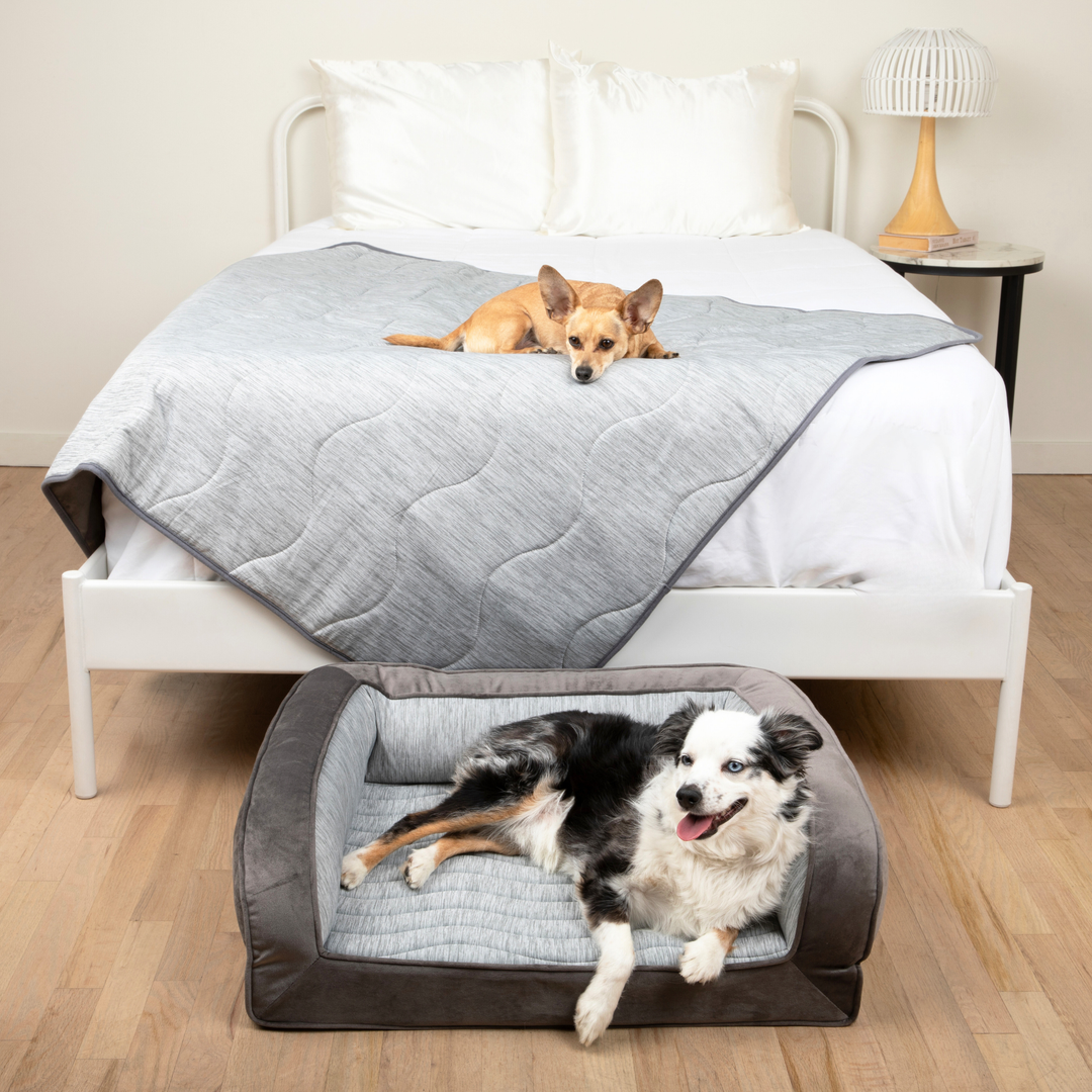 PupChill™ Cooling Bolster Dog Bed + Waterproof Blanket Bundle - Arctic Grey - - by Paw.com