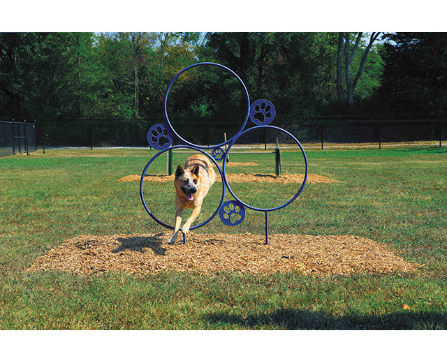 BarkPark Hoop Jump - - by BarkPark