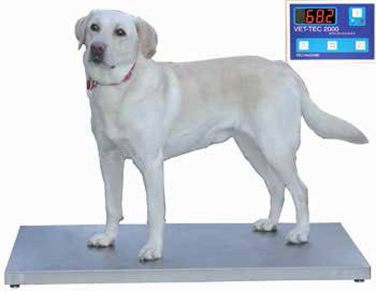 Petlift Walk-On 42″ Digital Scale - - Scale by Petlift