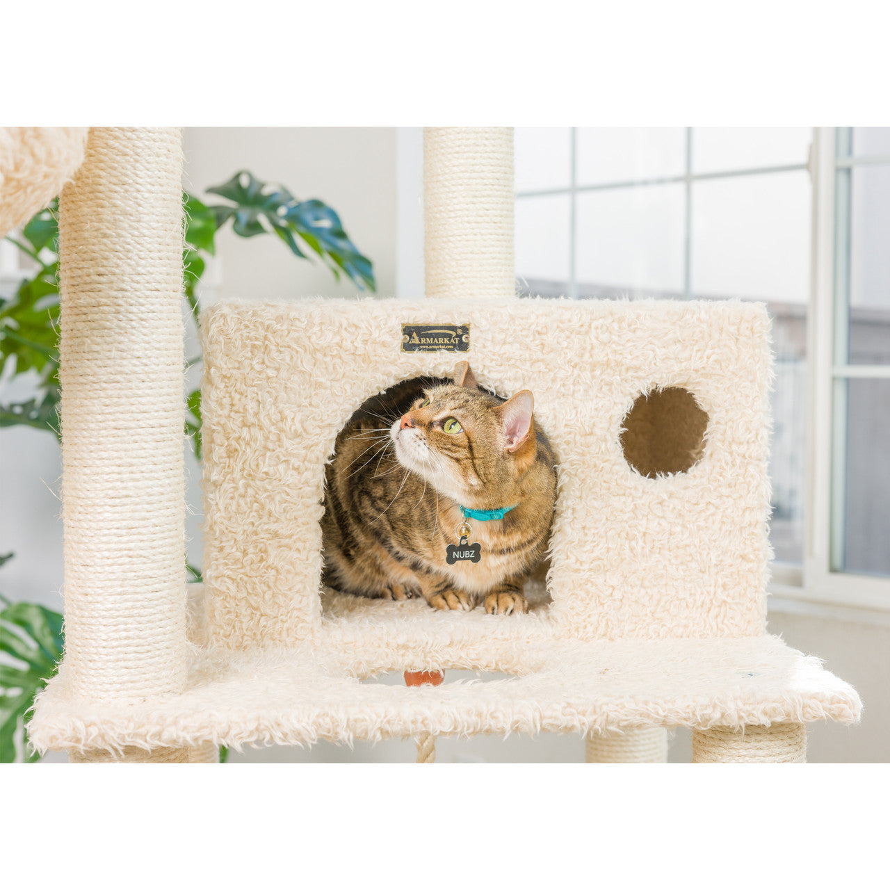 Armarkat 69" Multi-Level Real Wood Cat Tree with Hammock Bed and Climbing Center - - Cat Tree by Armarkat