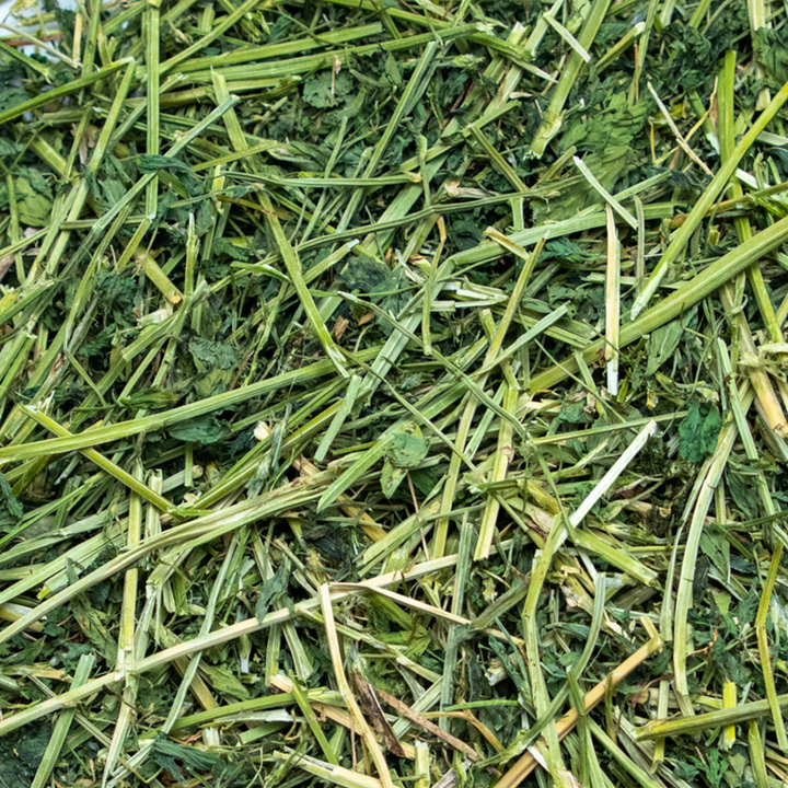 Rabbit Hole Hay Ultra Premium Alfalfa Hay - - Hay by Rabbit Hole Hay