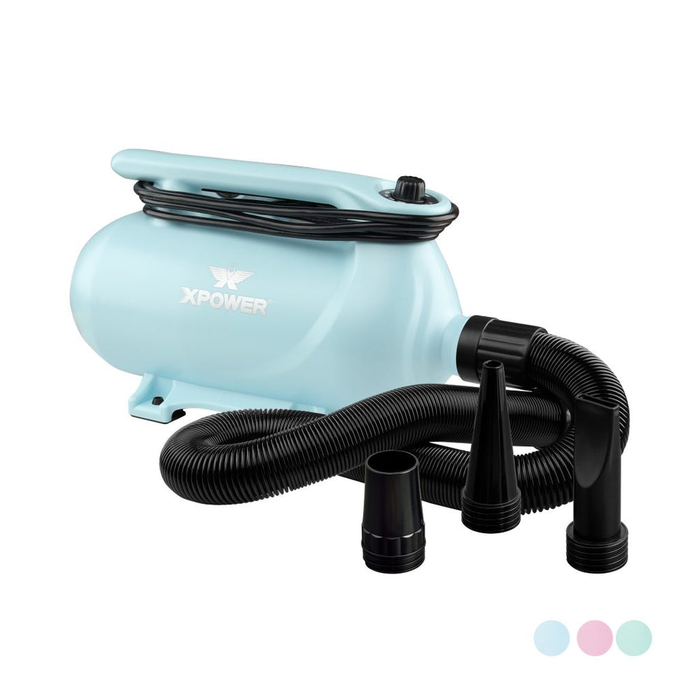 XPOWER B-163 High Velocity Pet Dryer - Sky Blue - Pet dryers by XPOWER