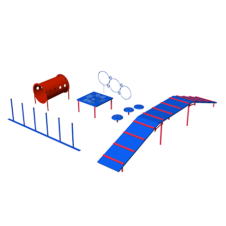 BarkPark Small Dog Advanced - Playful - by BarkPark