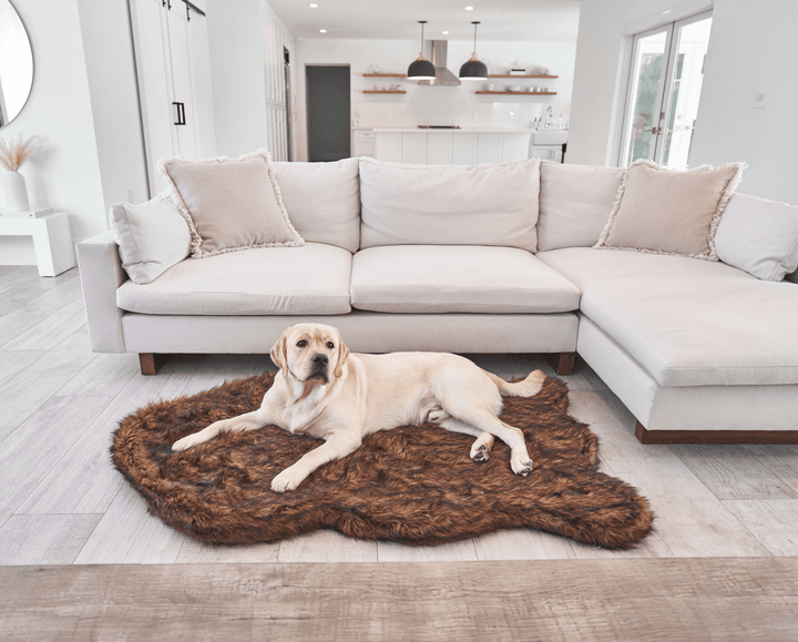 PupRug by Paw.com® Faux Fur Orthopedic Dog Bed - Curve Brown - Medium (40" L x 25" W) - Dog Beds by Paw.com
