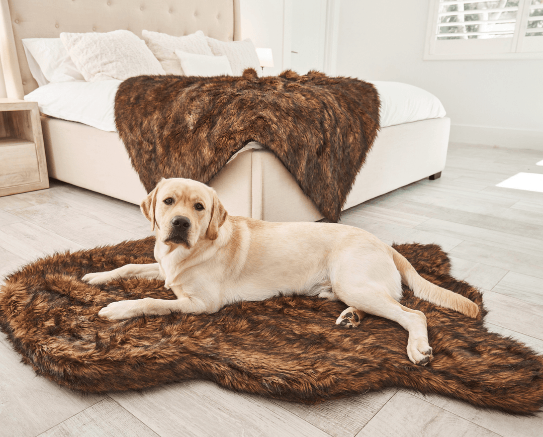 PupRug by Paw.com® Faux Fur Orthopedic Dog Bed - Curve Brown - - Dog Beds by Paw.com