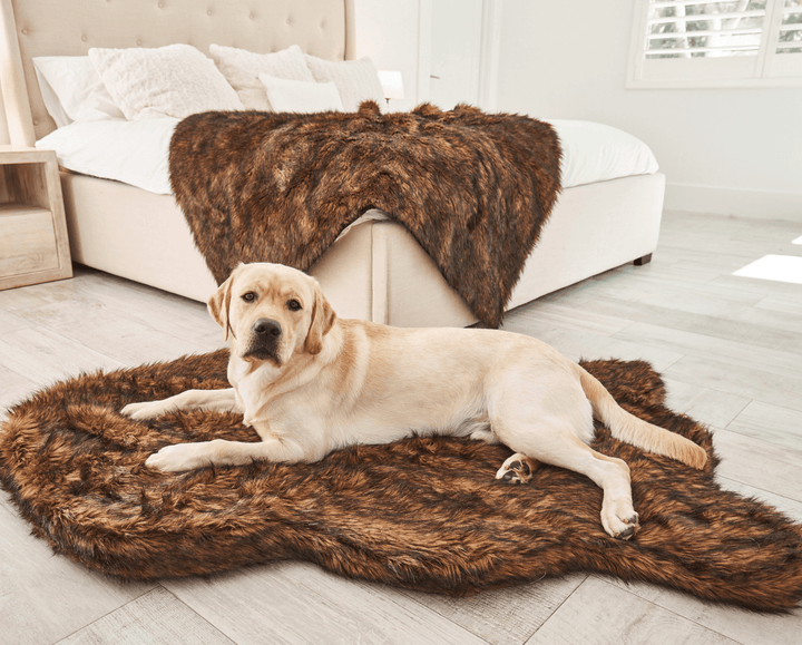 PupRug by Paw.com® Faux Fur Orthopedic Dog Bed - Curve Brown - - Dog Beds by Paw.com