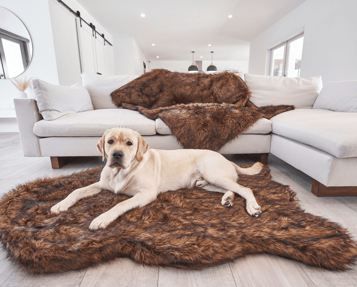PupRug by Paw.com® Faux Fur Orthopedic Dog Bed - Curve Brown - - Dog Beds by Paw.com