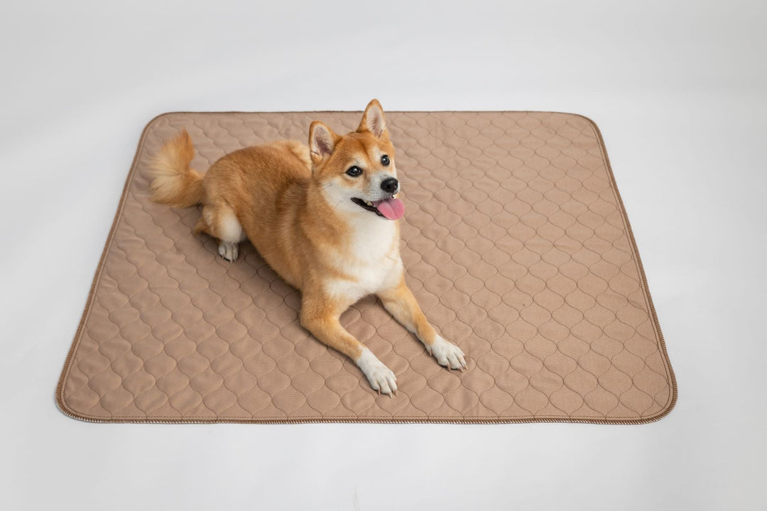 Brown Pad/Mat - - Pad by EZwhelp