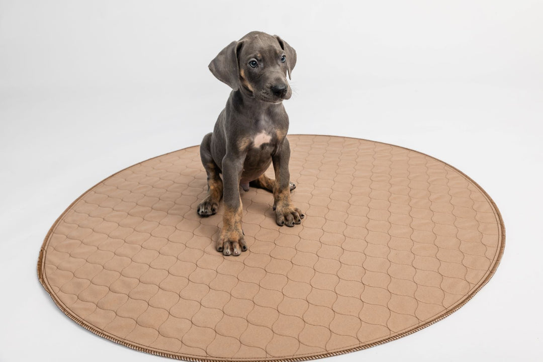 Brown Pad/Mat - - Pad by EZwhelp