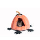 Armarkat Cat Bed - Pumpkin Shape - - Cat Beds by Armarkat