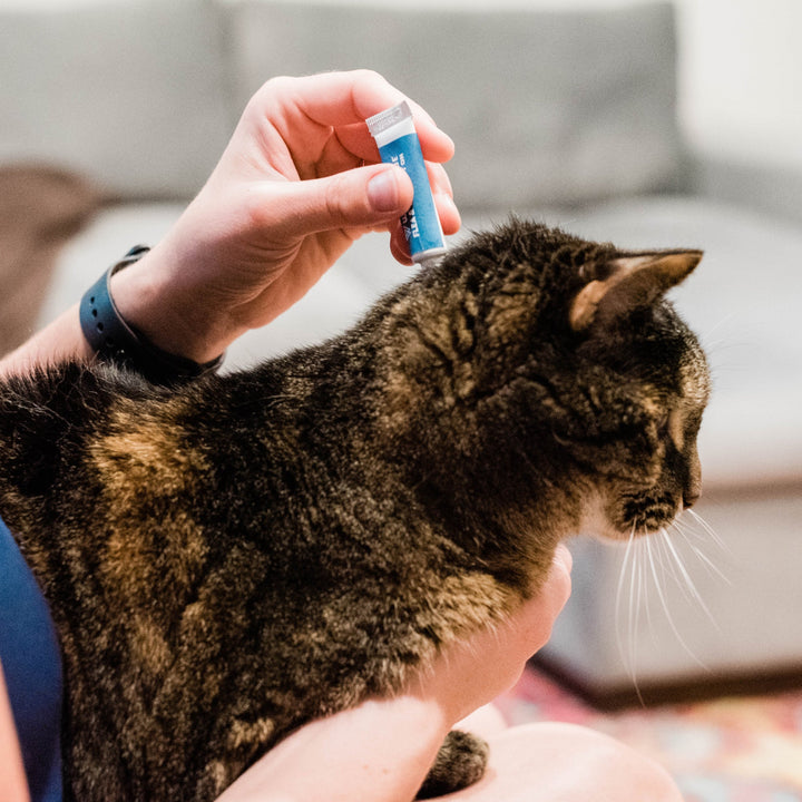 Flea & Tick Spot On for Dogs + Cats - - sale by Wondercide