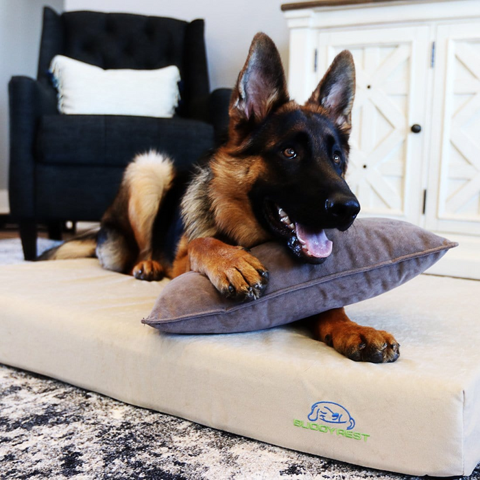 BuddyRest Deluxe Memory Foam Dog Bed