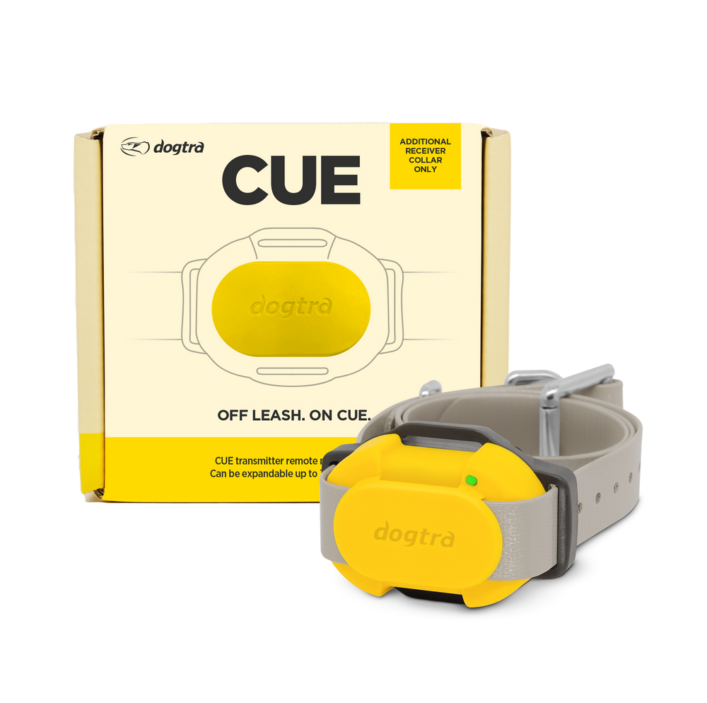 Dogtra CUE Additional Receiver - Yellow - by Dogtra