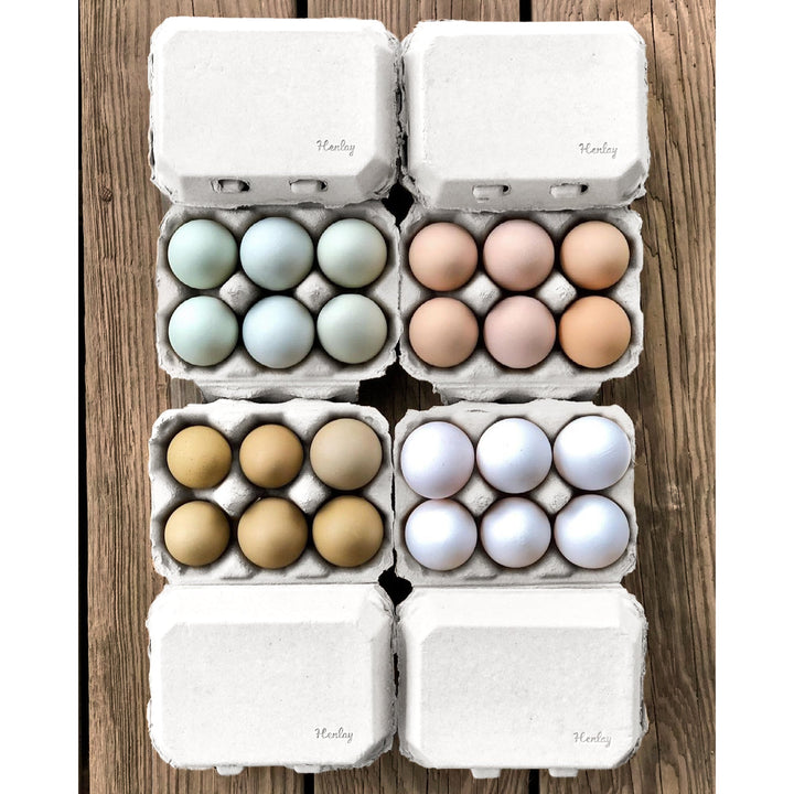 Half Dozen Egg Cartons - Henlay Blank Flat Top, Six Pack, 2 colors, 20 or 100 - - Egg Cartons by My Pet Chicken