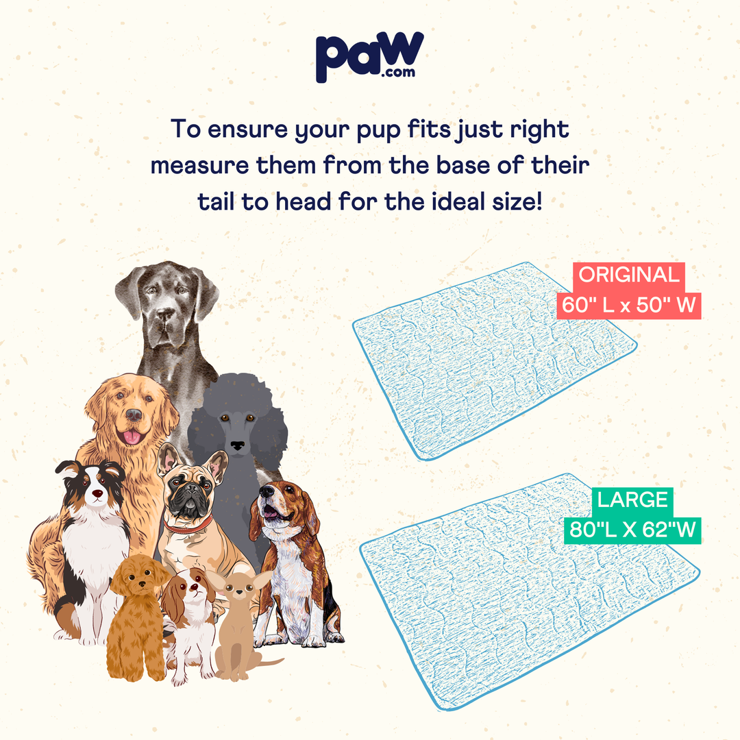 PupChill™ Cooling Waterproof Blanket - Arctic Grey - - by Paw.com
