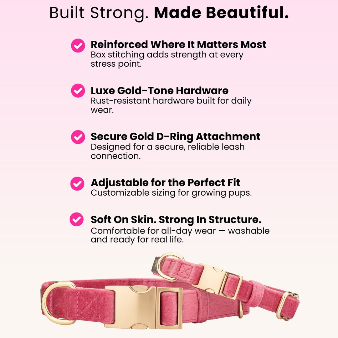 Ringo Dog Collar