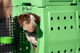 RuffLand Large Kennel - Lime - Dog crates by Ruff Land Performance Kennels