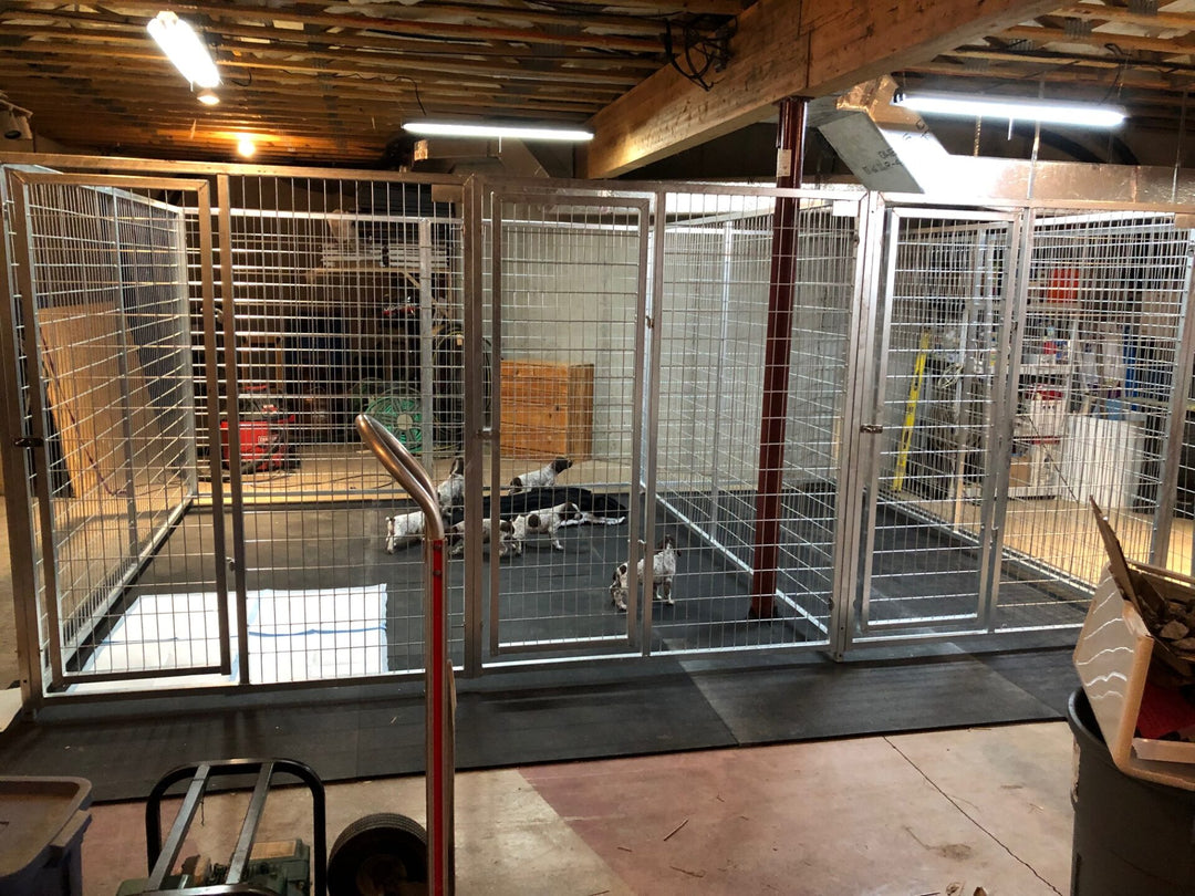 TK Products Complete 5’W x 8’L x 6’H Kennel Run w/ Stainless Steel Hardware - - Dog Kennels & Runs by TK Products