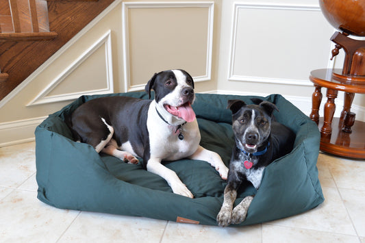 Armarkat Bolstered X-Large Dog Bed - Laurel Green - - Dog bed by Armarkat