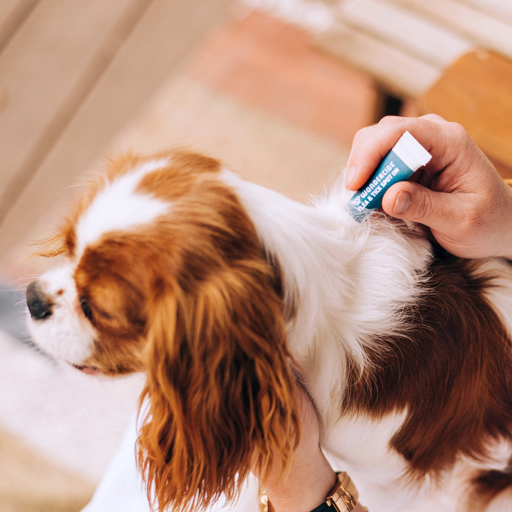 12-Month Flea & Tick Spot On for Dogs + Cats - - sale by Wondercide