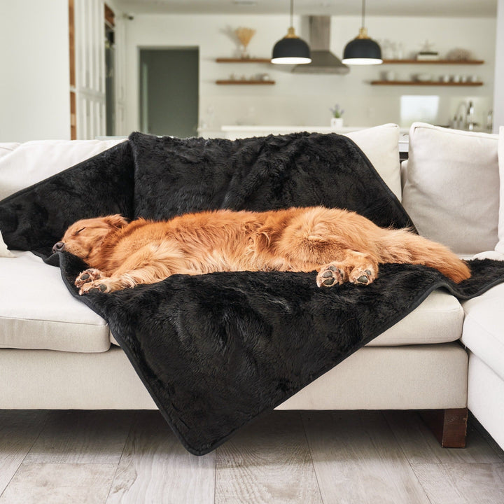 PupProtector™ Short Fur Waterproof Throw Blanket - Midnight Black - - Dog Blanket by Paw.com