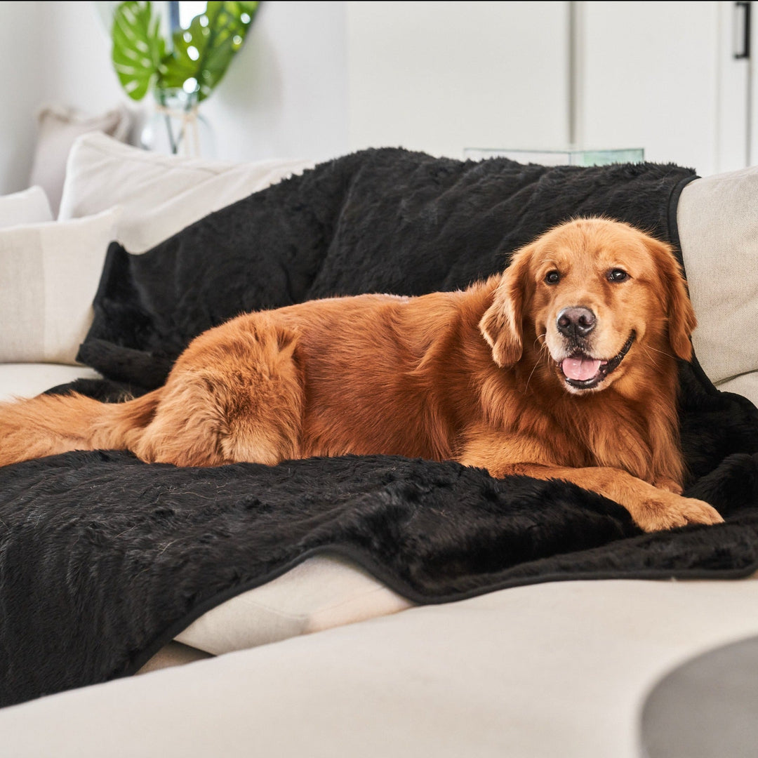 PupProtector™ Short Fur Waterproof Throw Blanket - Midnight Black - Original (60"L x 50"W) - Dog Blanket by Paw.com