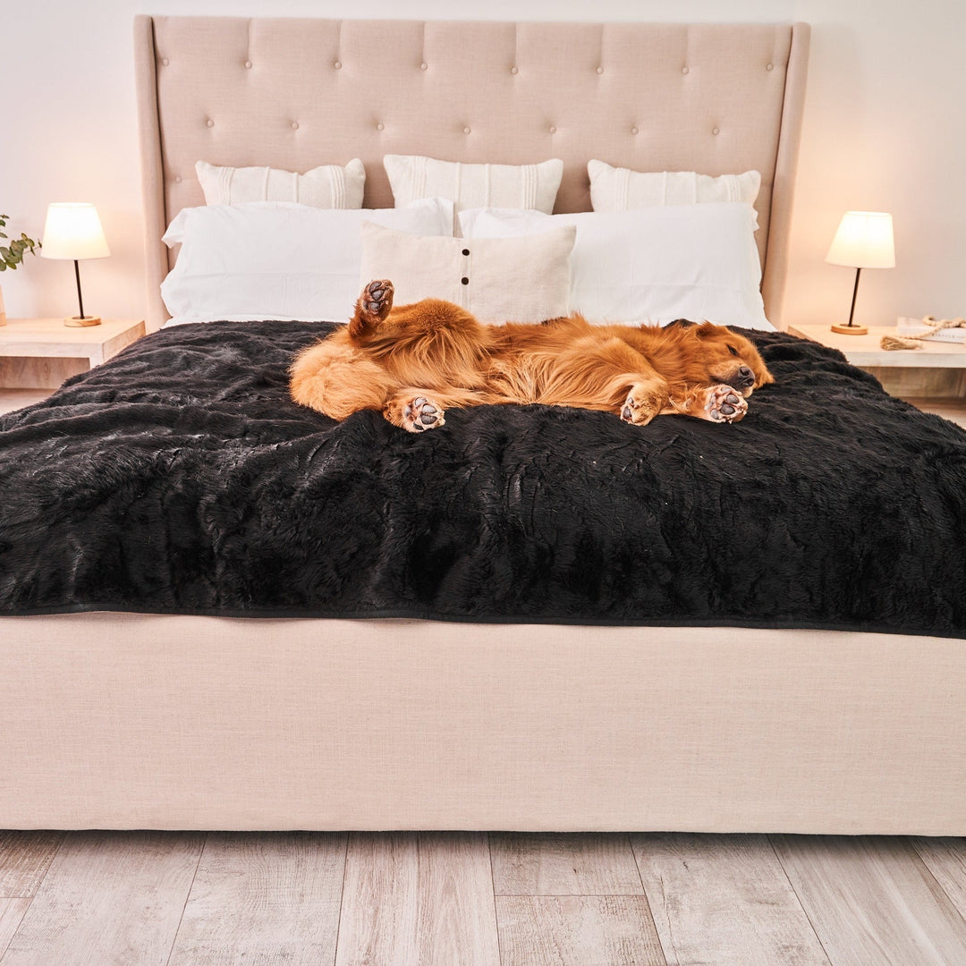 PupProtector™ Short Fur Waterproof Throw Blanket - Midnight Black - - Dog Blanket by Paw.com