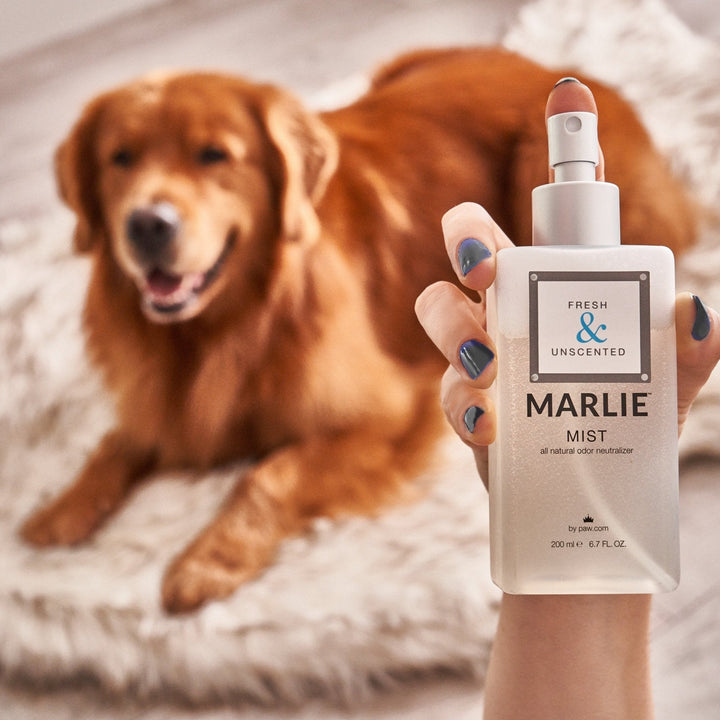 Marlie Mist Pet Odor Eliminator Spray with Essential Oils - - Pet Fragrances & Deodorizing Sprays by Paw.com