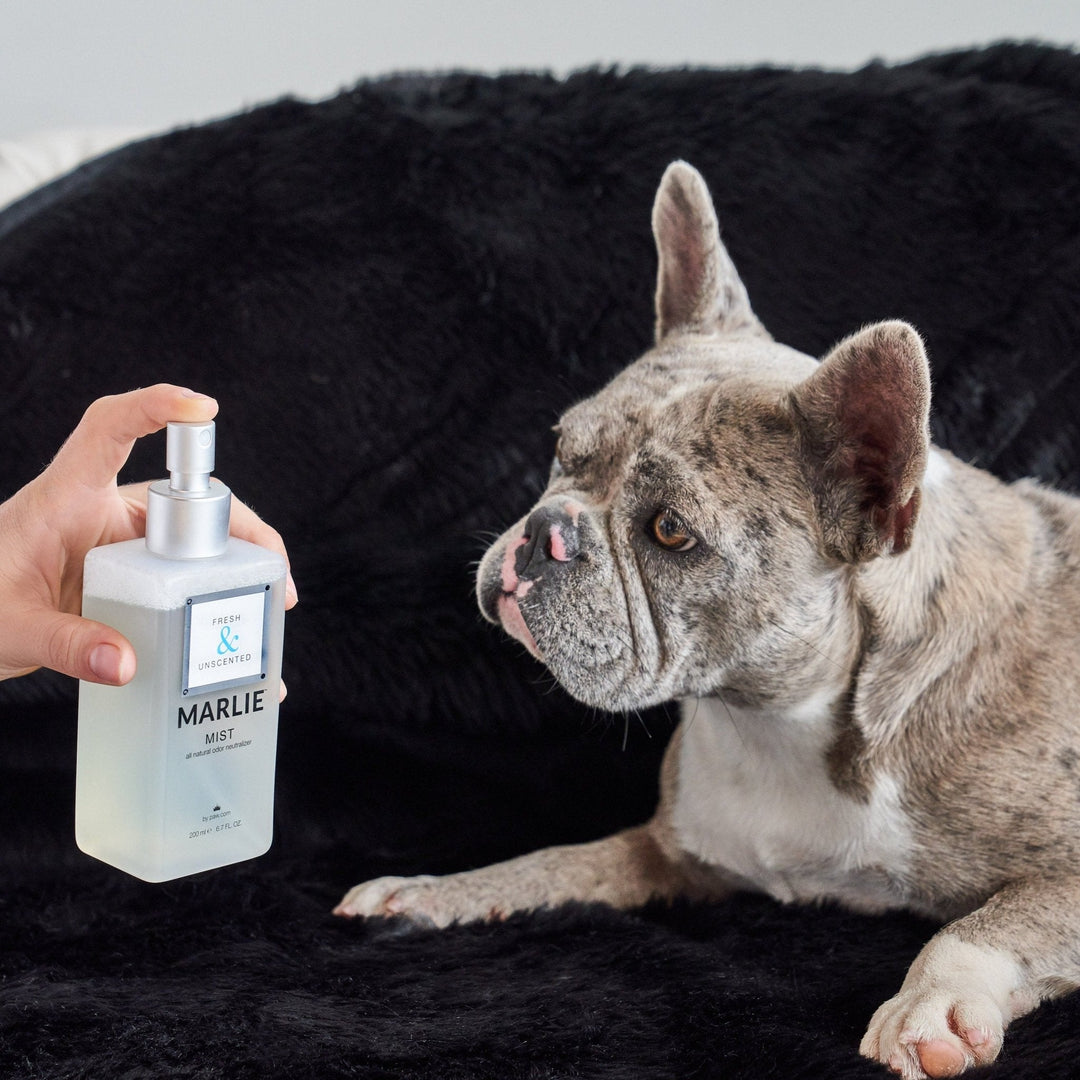 Marlie Mist Pet Odor Eliminator Spray with Essential Oils - - Pet Fragrances & Deodorizing Sprays by Paw.com