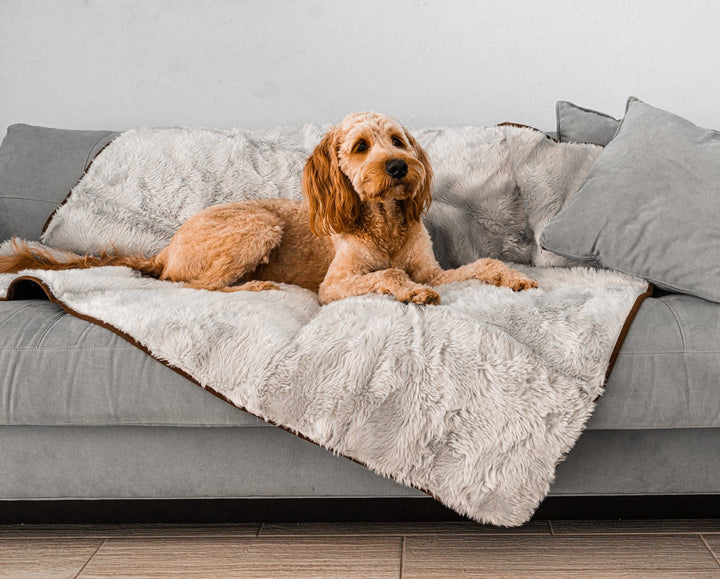 PupProtector™ Short Fur Waterproof Throw Blanket - Grey - Original (60"L x 50"W) - Dog Blanket by Paw.com