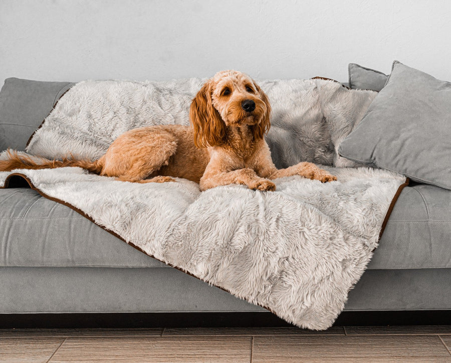 PupProtector™ Short Fur Waterproof Throw Blanket - Grey - Original (60"L x 50"W) - Dog Blanket by Paw.com
