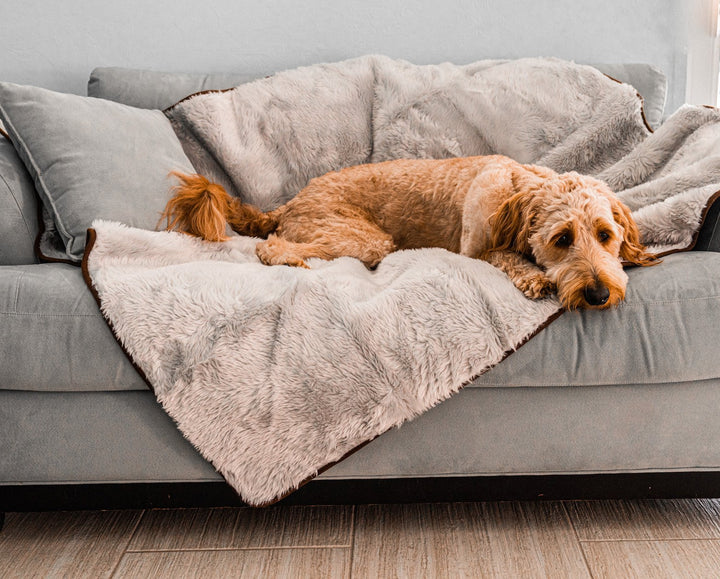 PupProtector™ Short Fur Waterproof Throw Blanket - Grey - - Dog Blanket by Paw.com