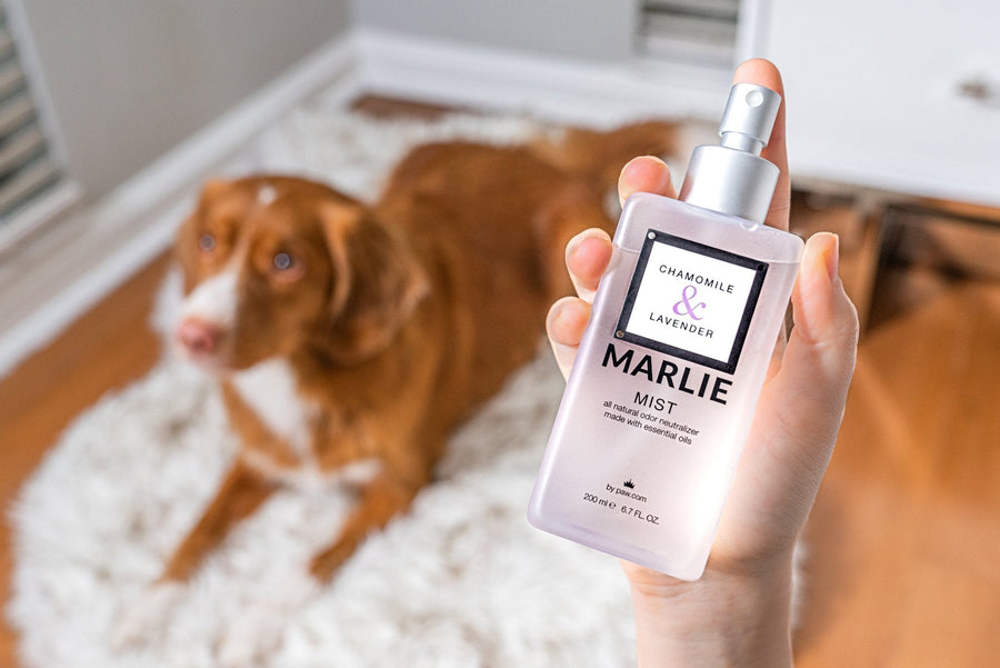 Marlie Mist Pet Odor Eliminator Spray with Essential Oils - - Pet Fragrances & Deodorizing Sprays by Paw.com